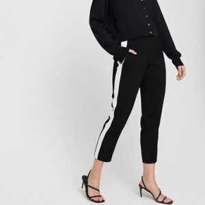 Aritzia Babaton Conan Pant Terado Side Stripe Crop Trousers Straight Leg Black
